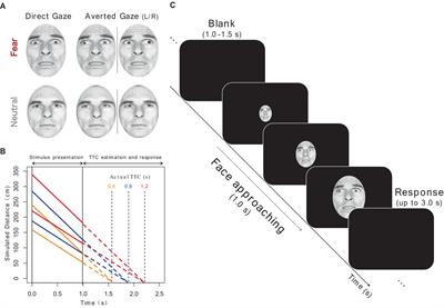 Emotion-gaze interaction affects time-to-collision estimates, but not preferred interpersonal distance towards looming faces